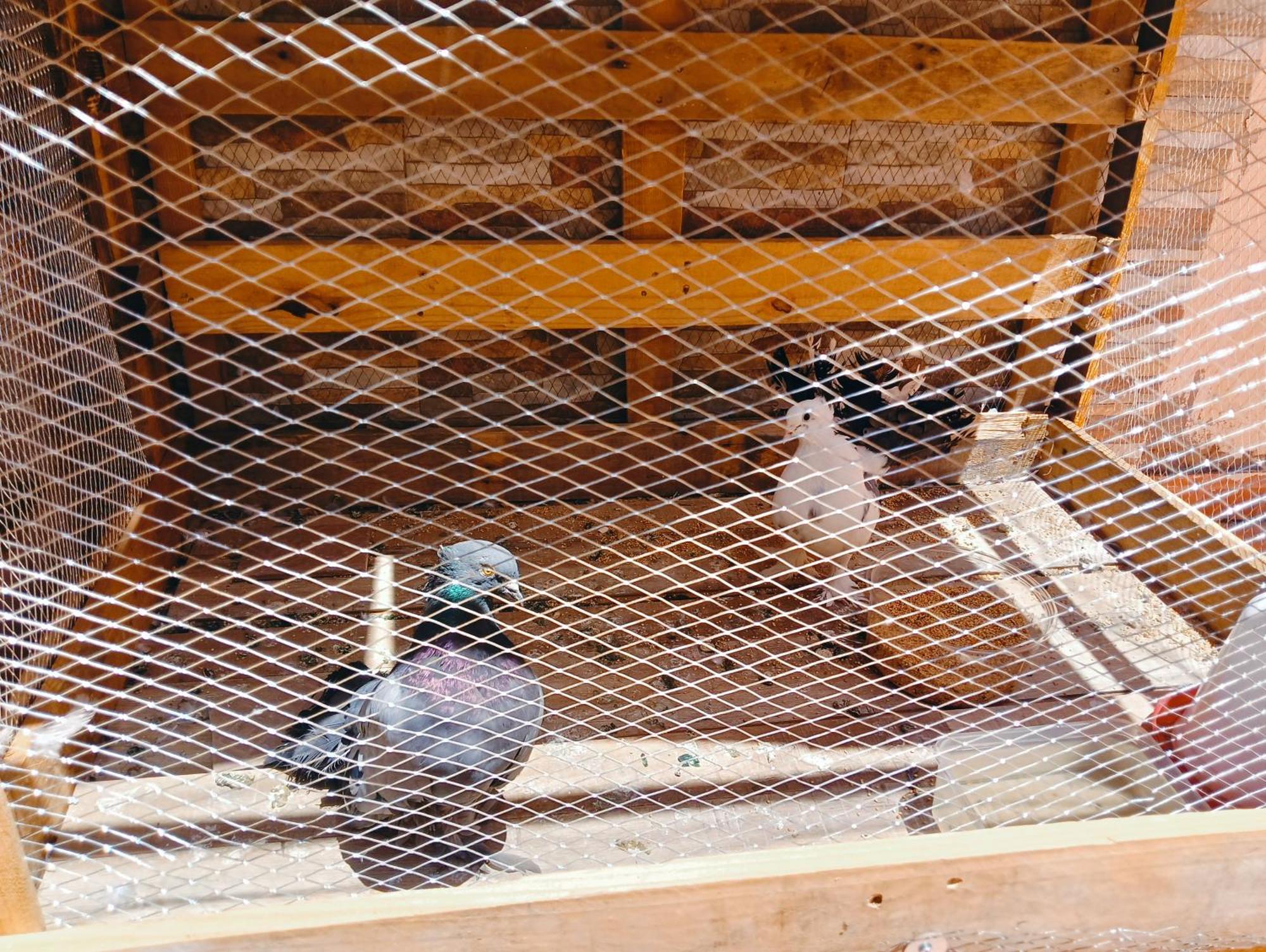 Villa Marmara マディーナ エクステリア 写真